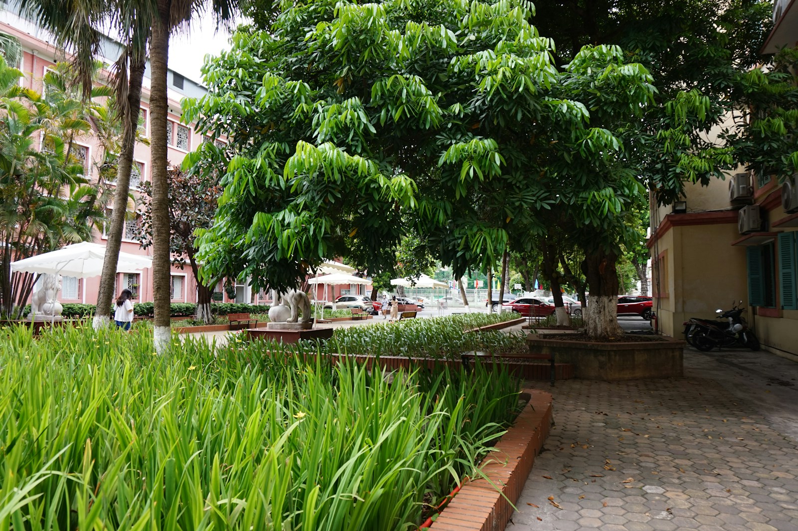 A lush green park filled with lots of trees